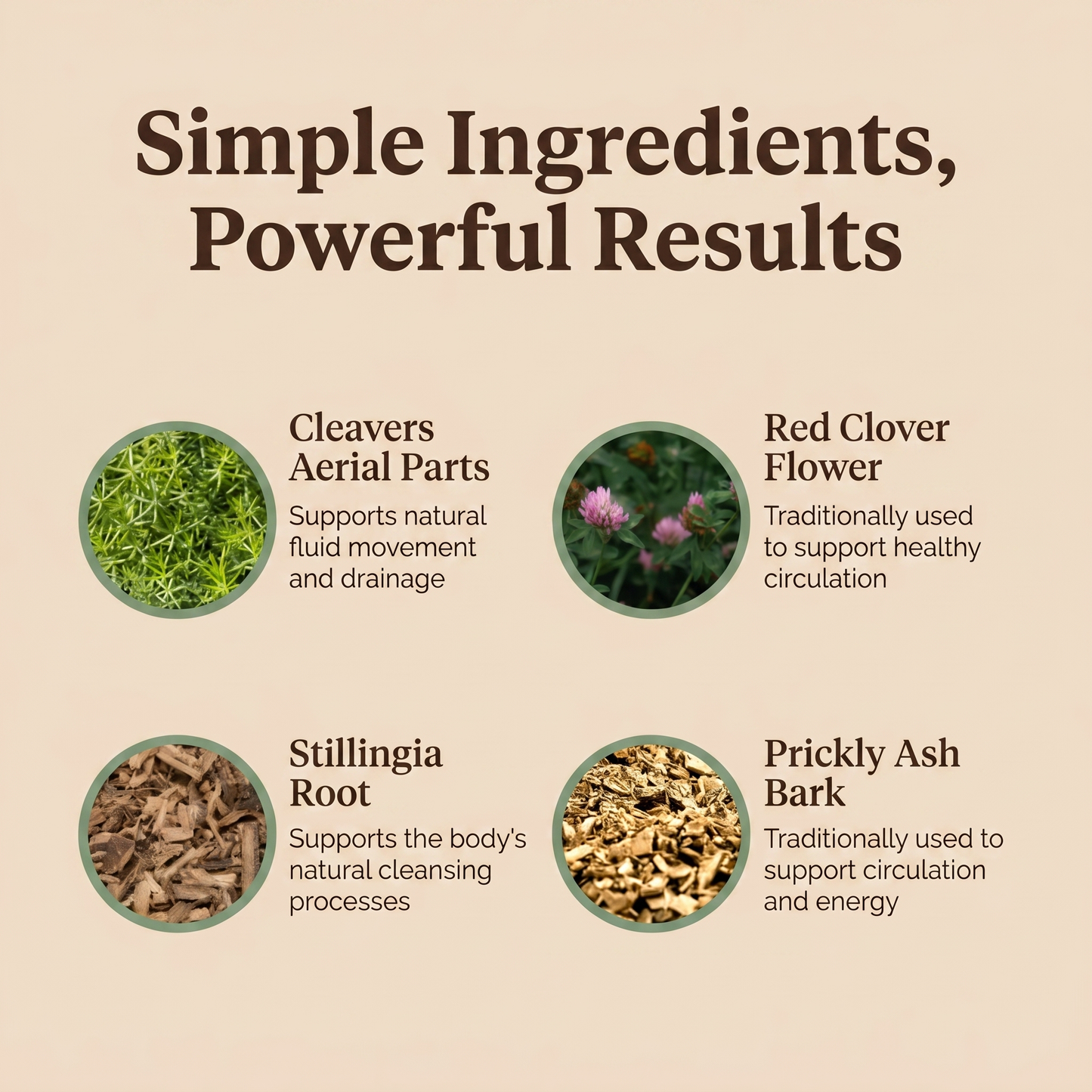 Lymphatic Wellness Drops